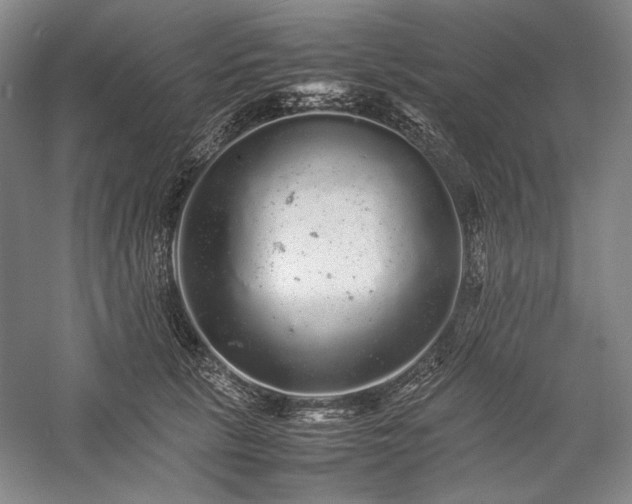 X0000057100657200509091205