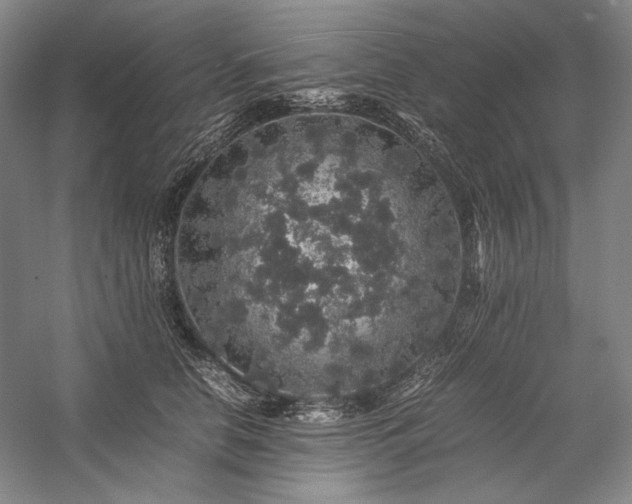 X0000057100658200509091205