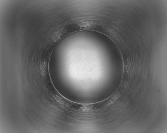 X0000057100660200509091205