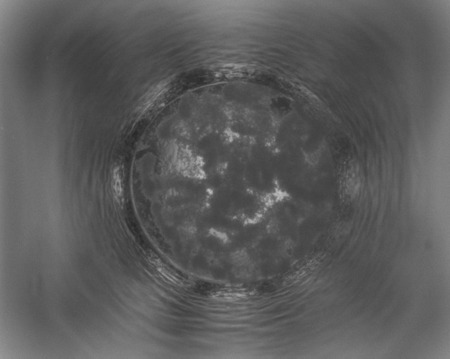 X0000057100661200509091205