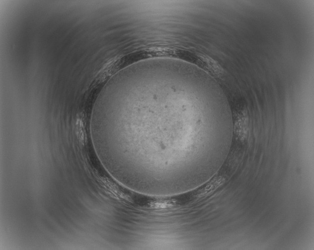 X0000057100662200509091205