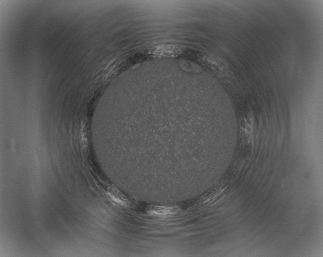 X0000057100663200509091205