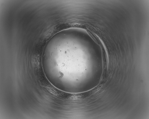 X0000057100664200509091205