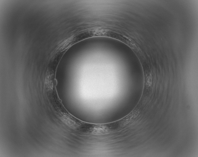 X0000057100666200509091205