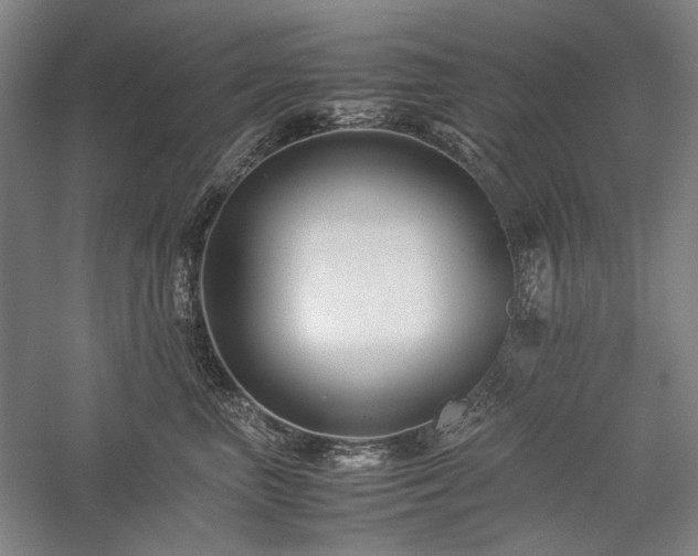 X0000057100667200509091205