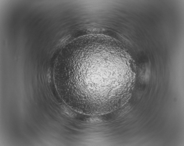 X0000057100668200509091205