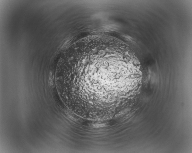 X0000057100669200509091205