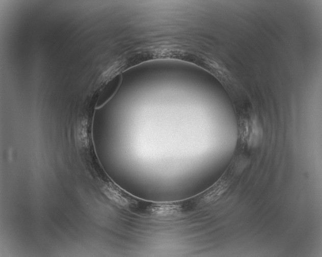 X0000057100670200509091205