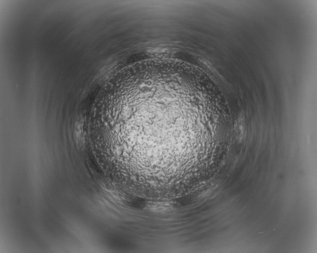 X0000057100671200509091205