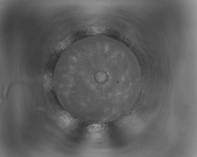 X0000057100672200509091205