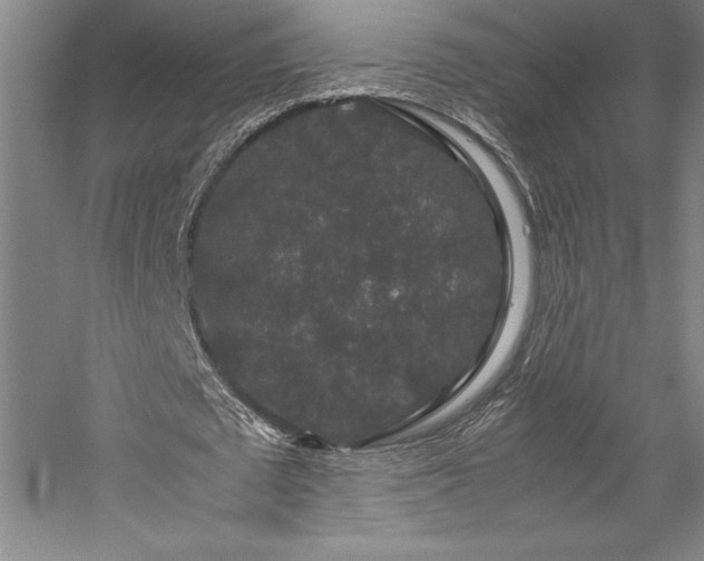 X0000057100673200509091204