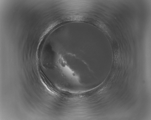 X0000057100674200509091204