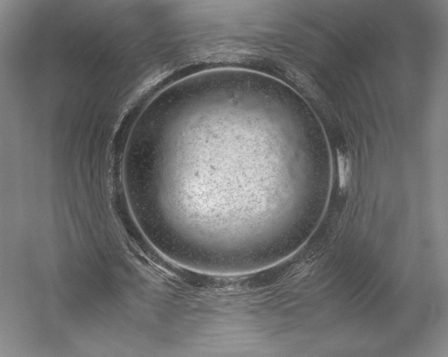 X0000057100675200509091204