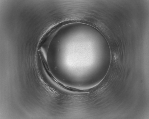 X0000057100676200509091204