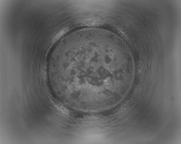 X0000057100679200509091204