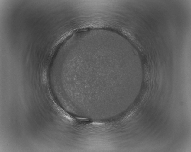 X0000057100681200509091204