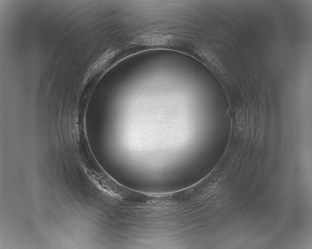 X0000057100682200509091204