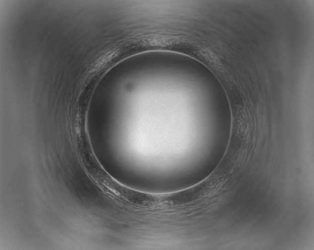 X0000057100683200509091204