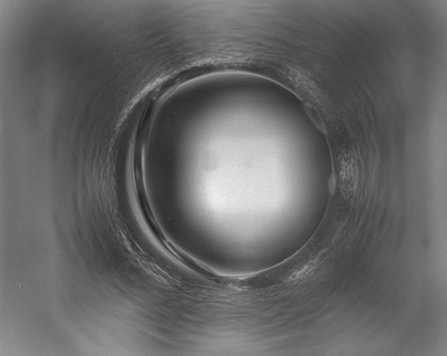 X0000057100684200509091204