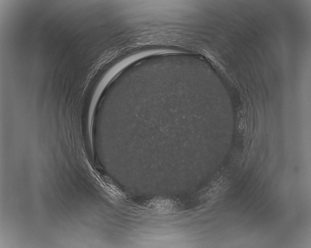 X0000057100685200509091204