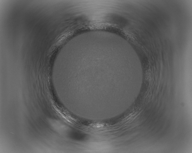 X0000057100687200509091204