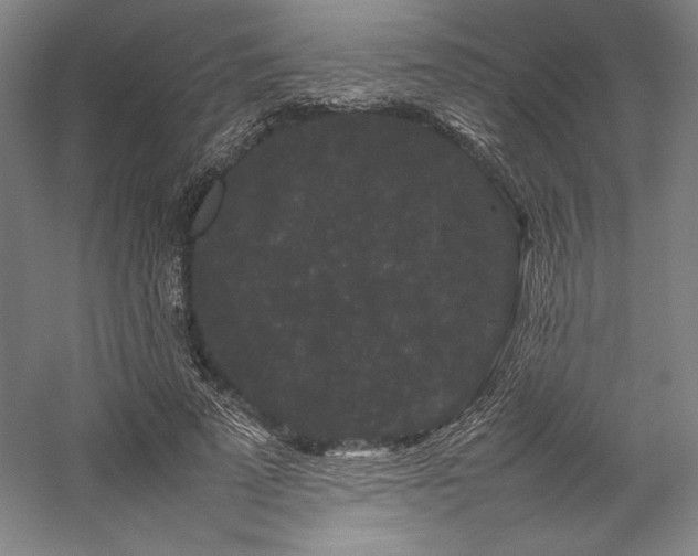 X0000057100689200509091204