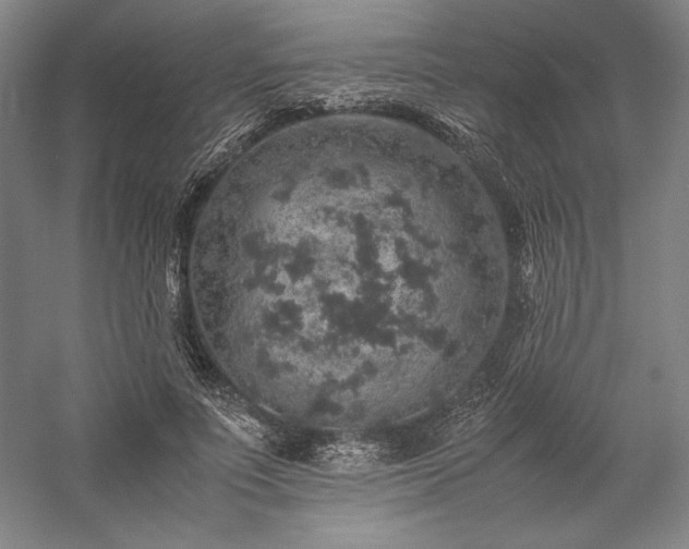 X0000057100691200509091204