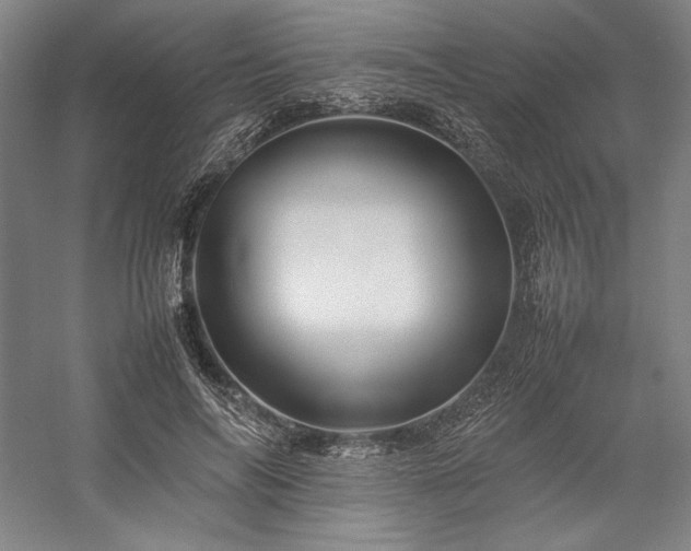 X0000057100694200509091204