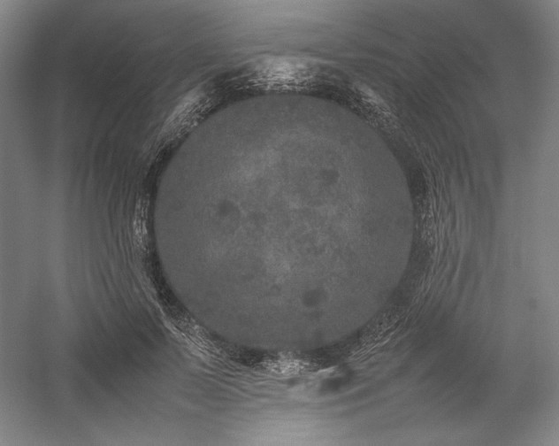 X0000057100695200509091204