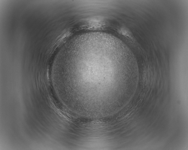 X0000057100696200509091204