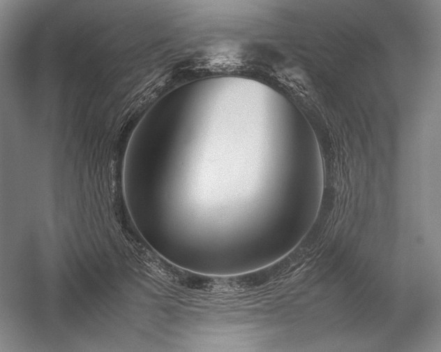 X0000057100697200509091204