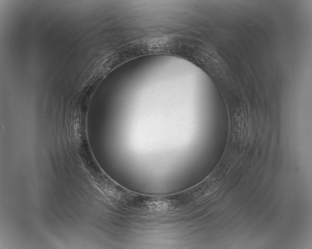 X0000057100698200509091204