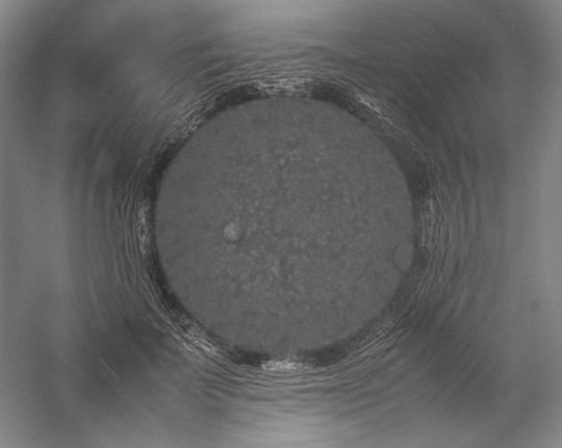 X0000057100699200509091204