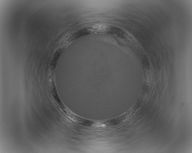 X0000057100701200509091204