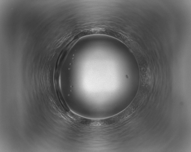 X0000057100704200509091204