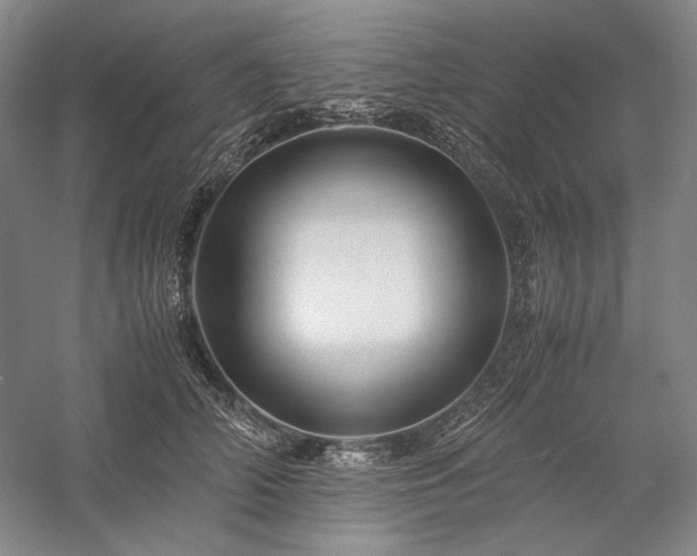 X0000057100706200509091204