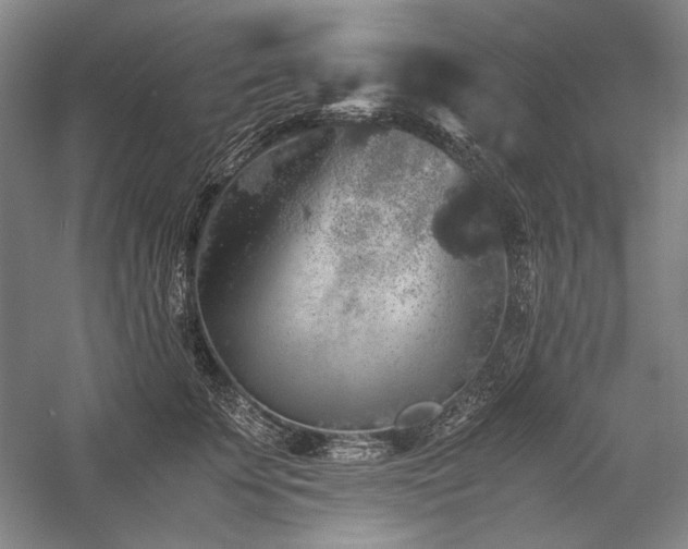 X0000057100707200509091204