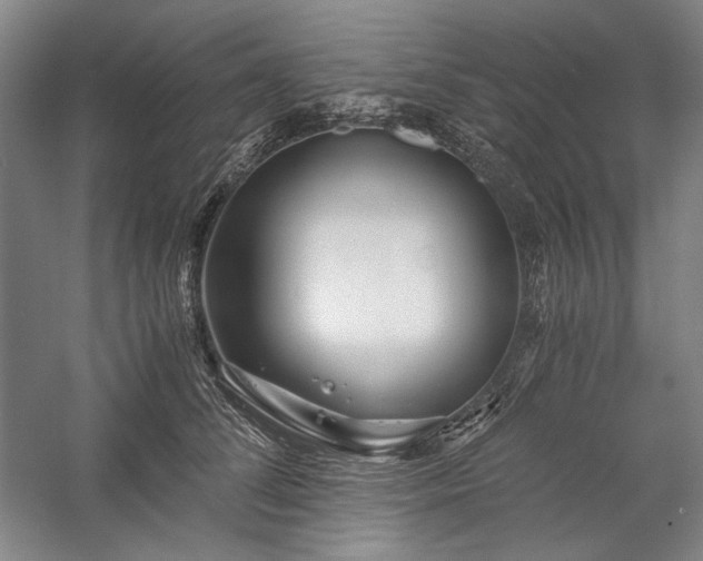 X0000057100708200509091204