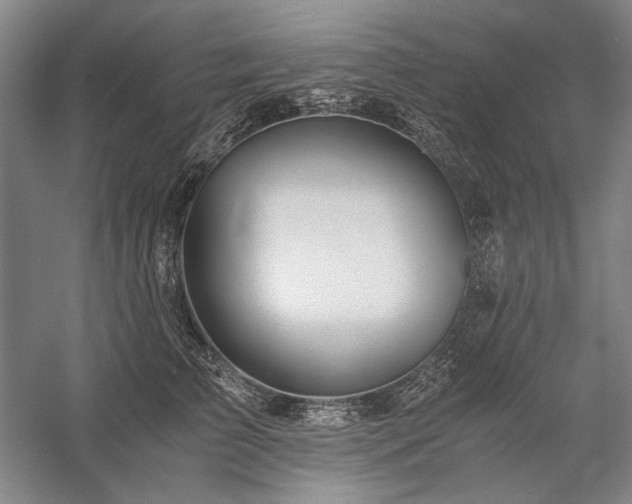 X0000057100709200509091204