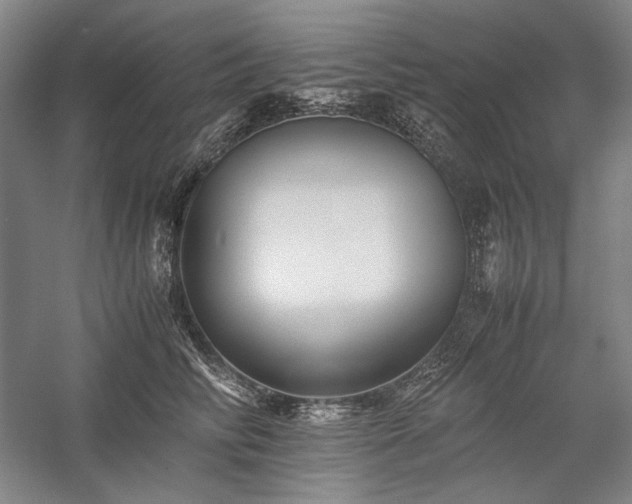 X0000057100710200509091204