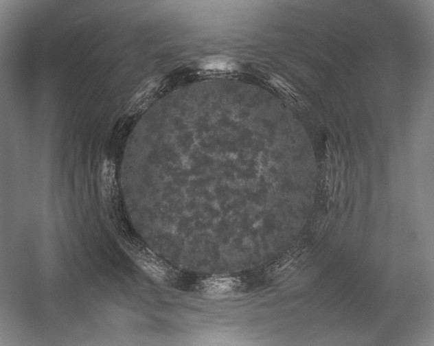 X0000057100711200509091204