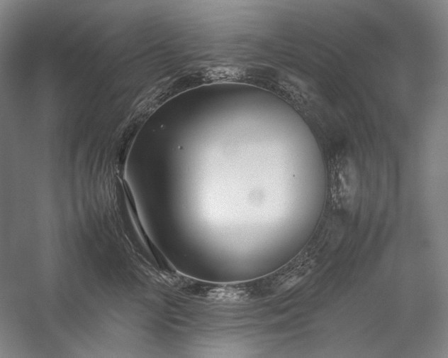 X0000057100714200509091203