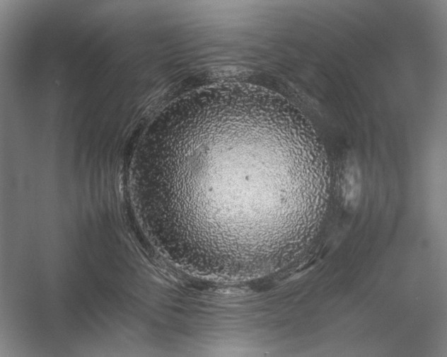 X0000057100716200509091203