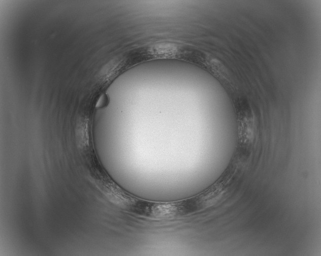 X0000057100717200509091203