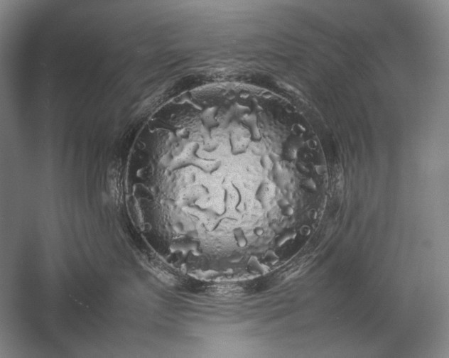 X0000057100719200509091203