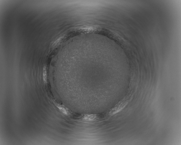 X0000057100720200509091203