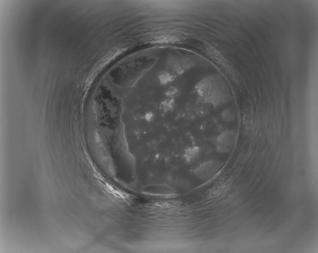 X0000057100721200509091203