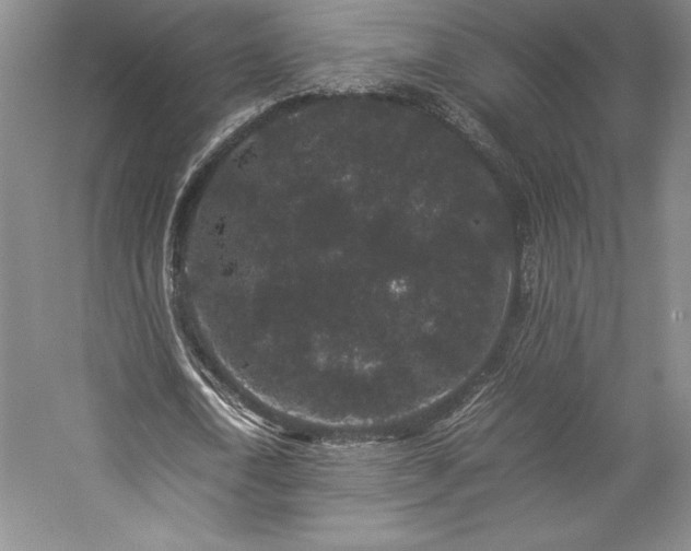 X0000057100722200509091203