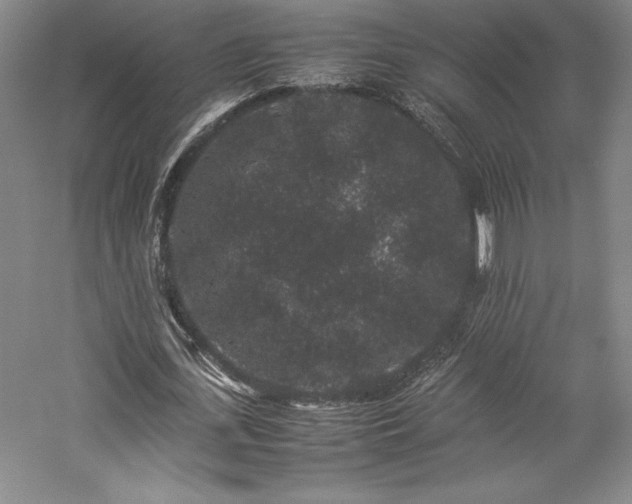 X0000057100723200509091203