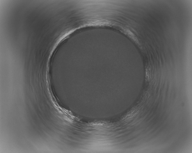 X0000057100724200509091203